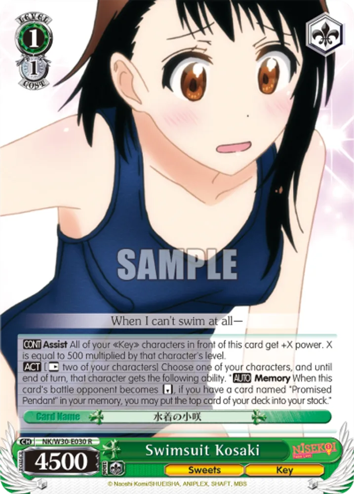 Swimsuit Kosaki