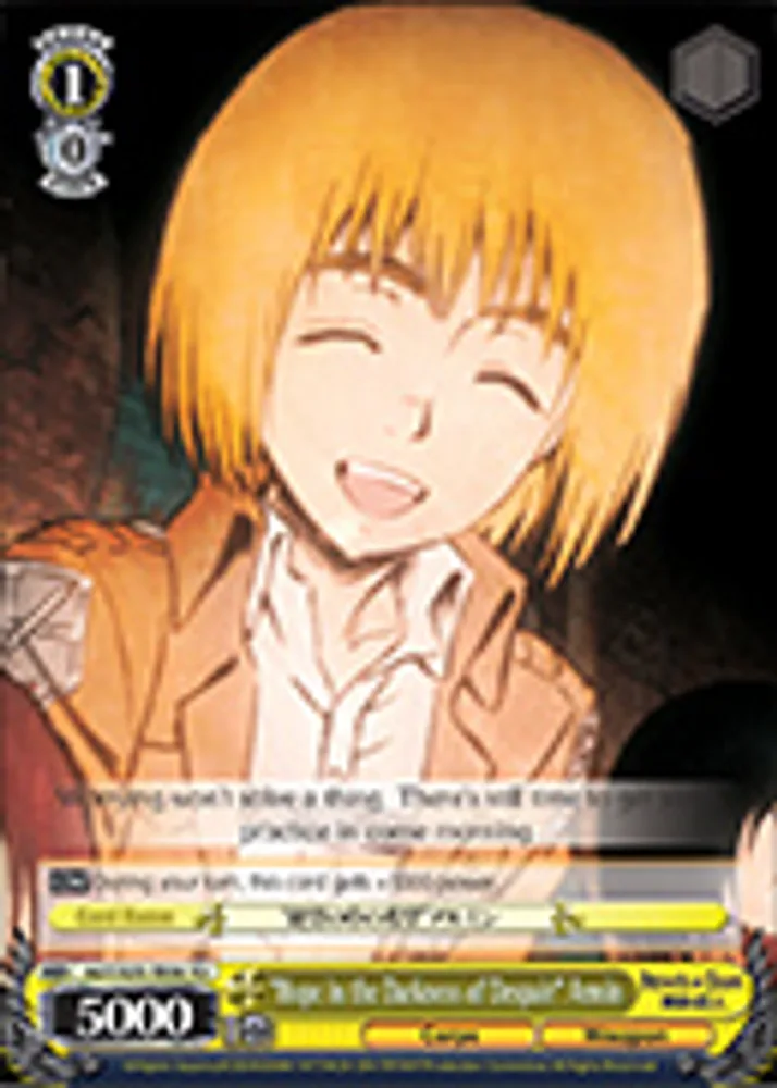"Hope in the Darkness of Despair" Armin
