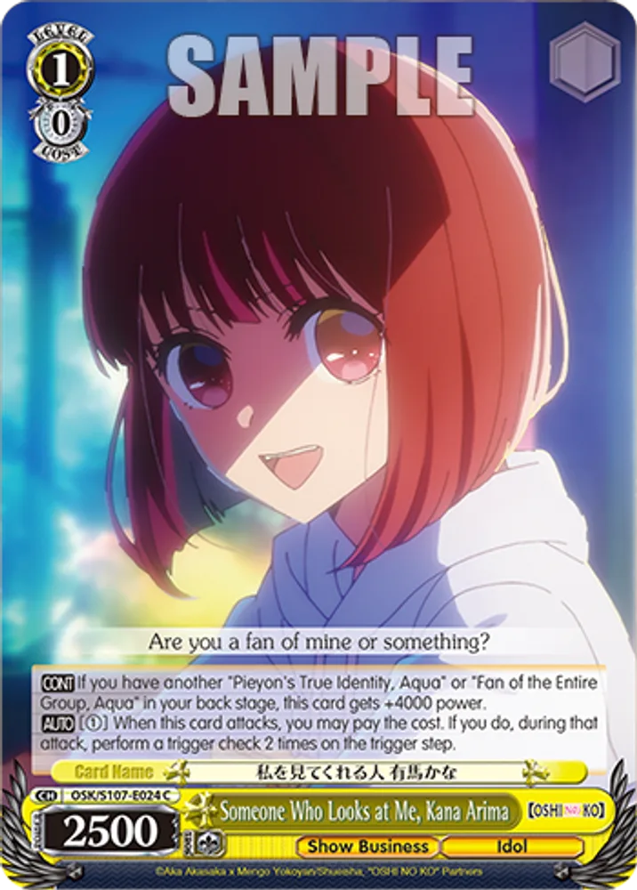 Someone Who Looks at Me, Kana Arima