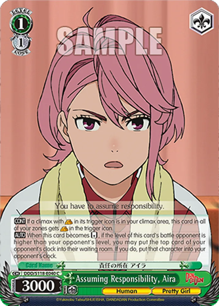 Assuming Responsibility, Aira