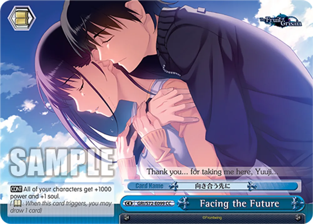 Facing the Future