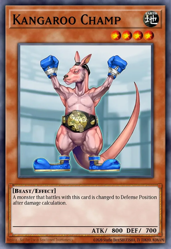 Kangaroo Champ