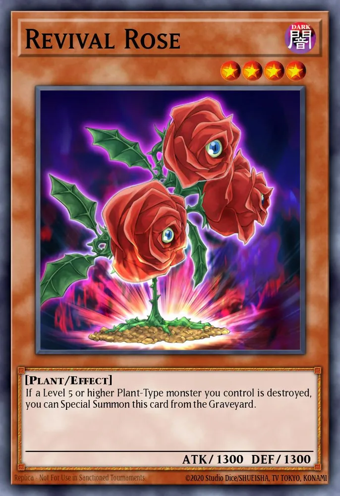Revival Rose