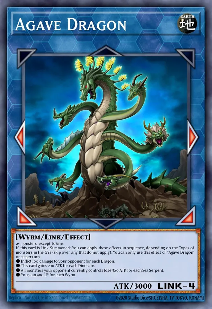Agave Dragon