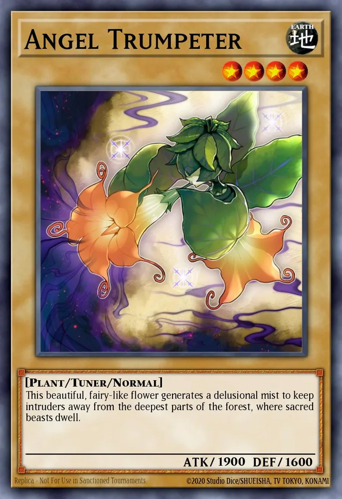 Angel Trumpeter