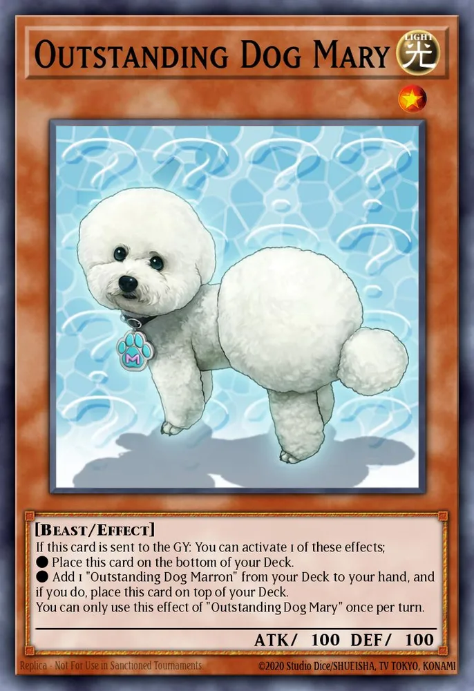 Outstanding Dog Mary