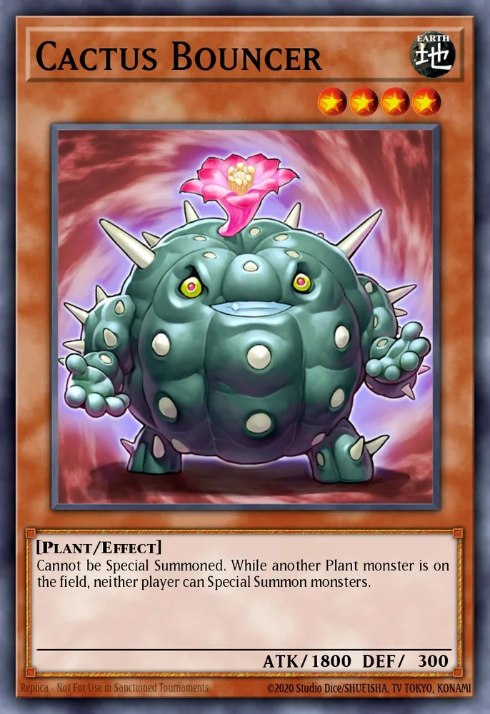 Cactus Bouncer