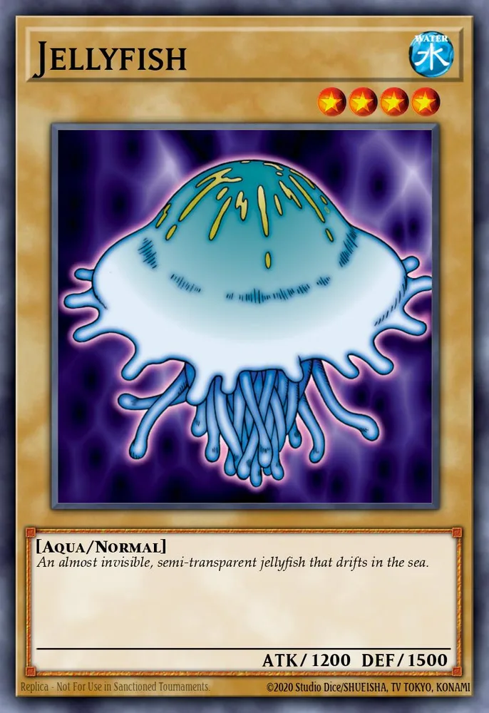 Jellyfish