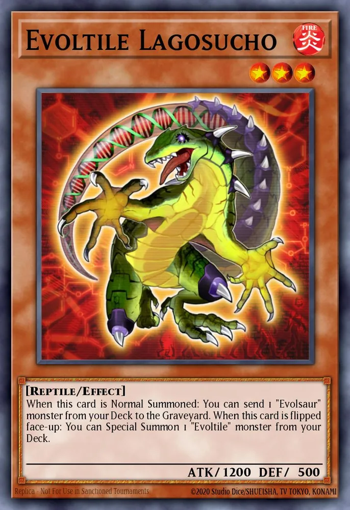 Evoltile Lagosucho