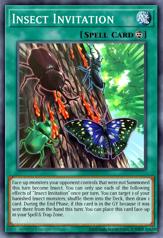 Insect Invitation