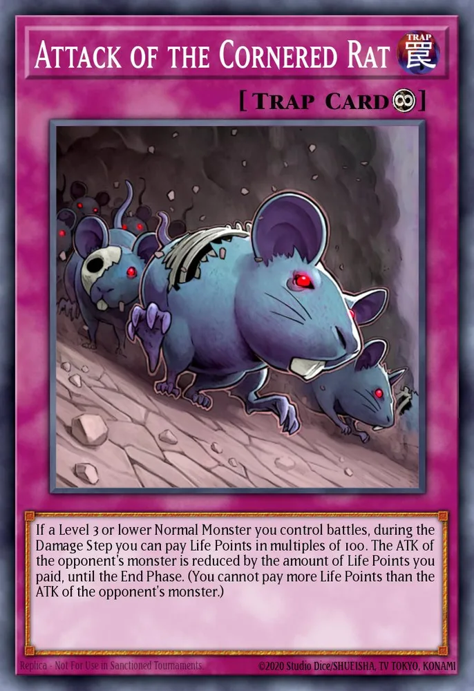 Attack of the Cornered Rat