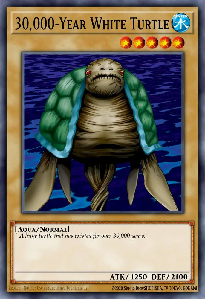 30,000-Year White Turtle