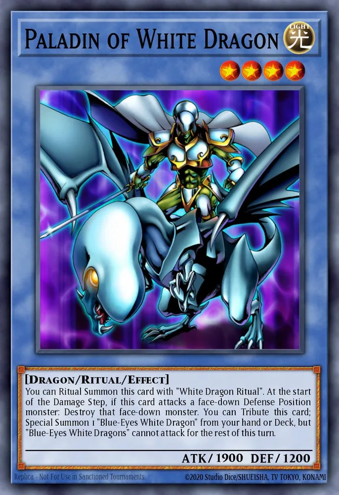 Paladin of White Dragon
